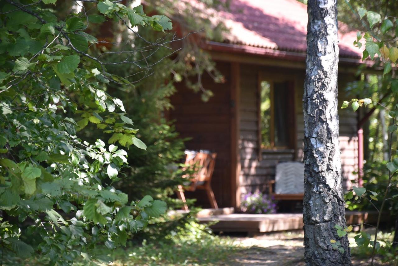 Berzu Namelis - Birch Cabin Kuciunai Экстерьер фото