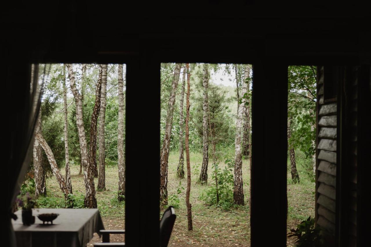 Berzu Namelis - Birch Cabin Kuciunai Экстерьер фото