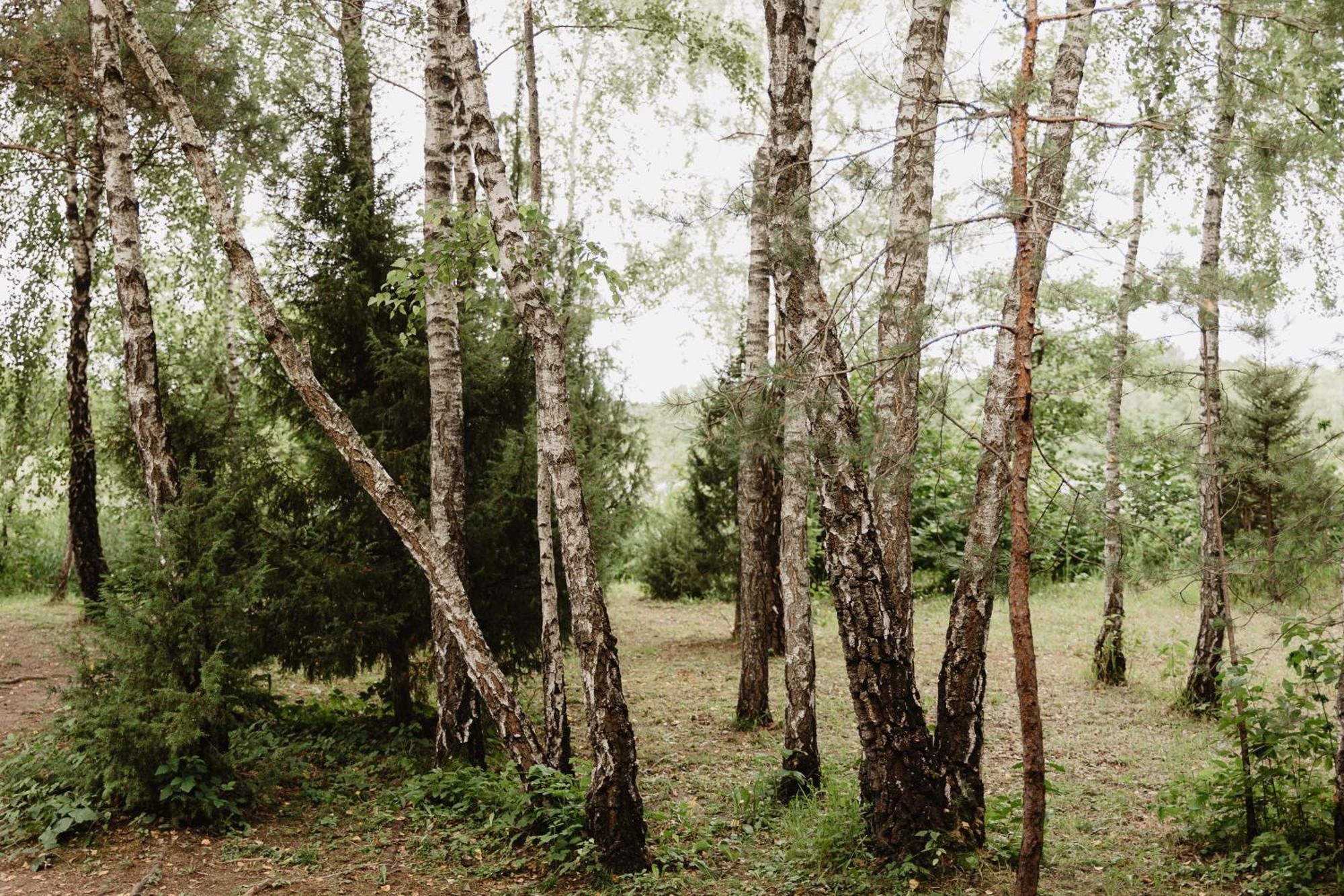 Berzu Namelis - Birch Cabin Kuciunai Экстерьер фото