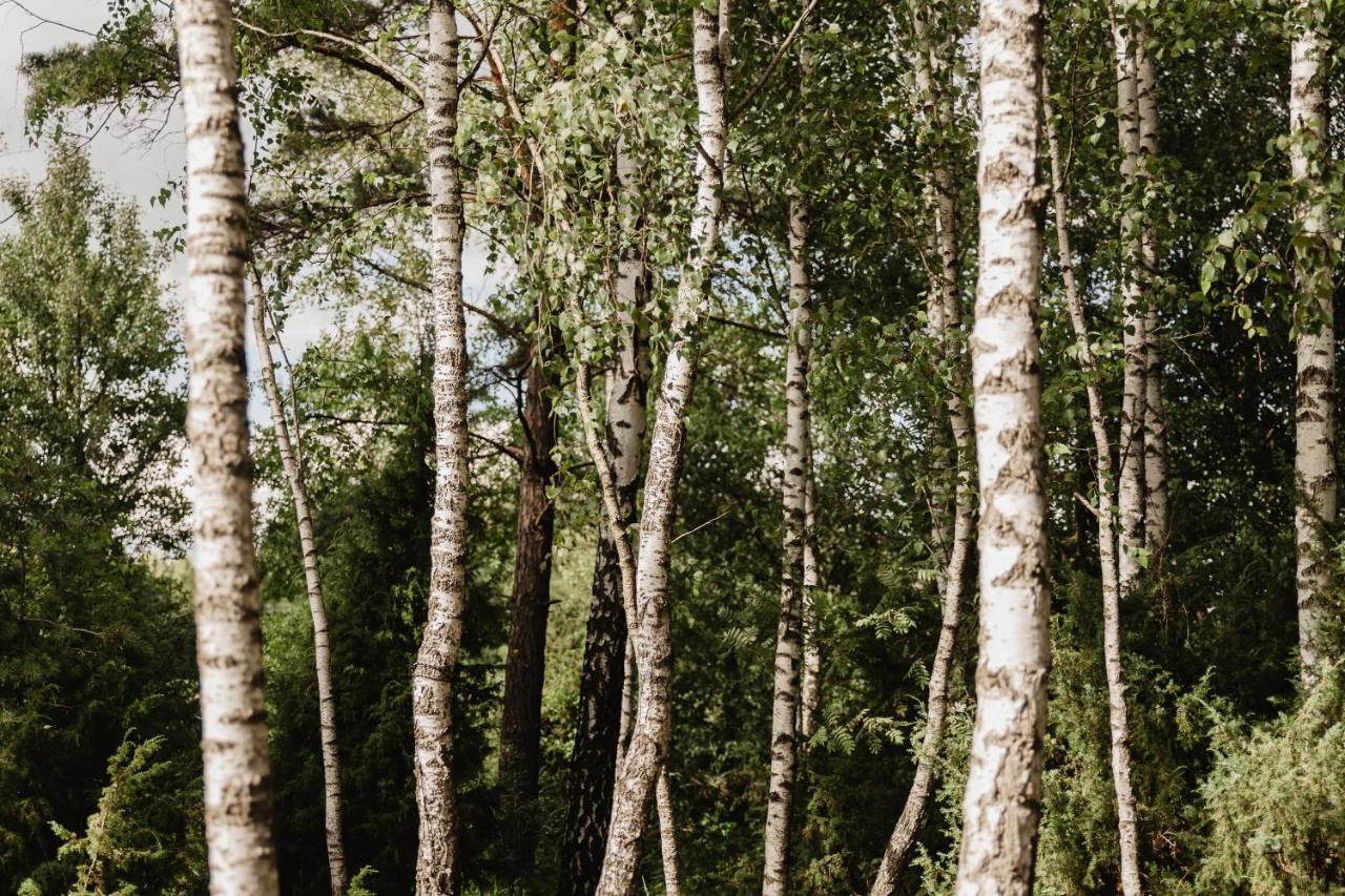 Berzu Namelis - Birch Cabin Kuciunai Экстерьер фото