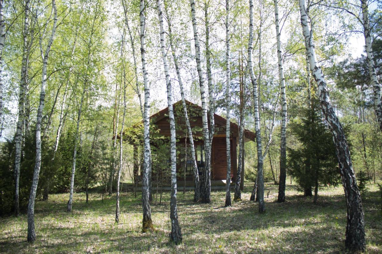 Berzu Namelis - Birch Cabin Kuciunai Экстерьер фото
